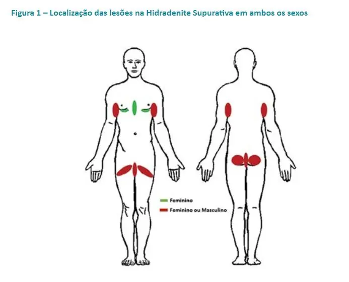Cânhamo (4).jpg