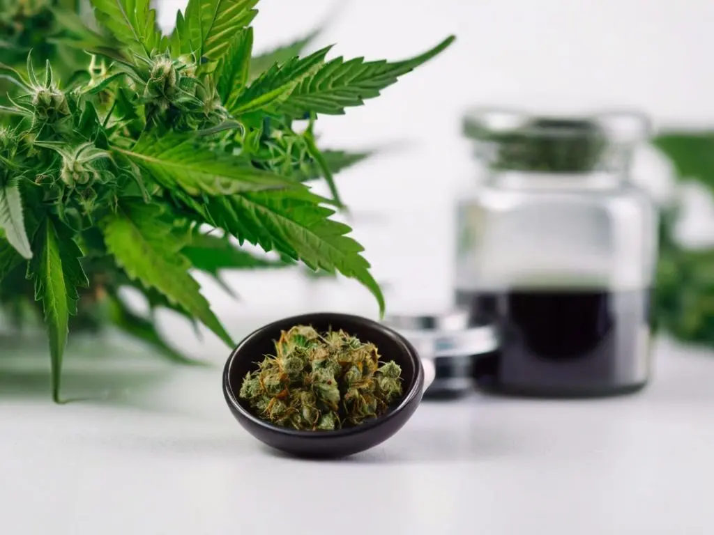 Default_Uso_medicinal_da_cannabis_0.jpg