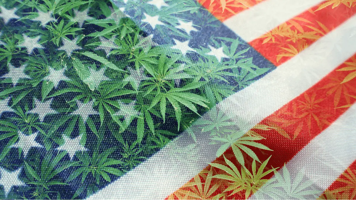 Trump nomeia Procurador-Geral com histórico pró legalização da cannabis