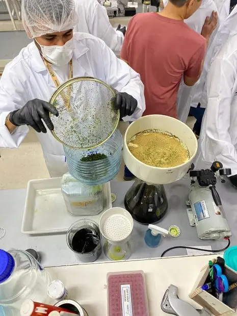 Extracción de aceite de cannabis realizada en laboratorio del IQ en asociación entre UnB y Abrapango Imagen Fernanda Vasconcelos/IQ.jpg