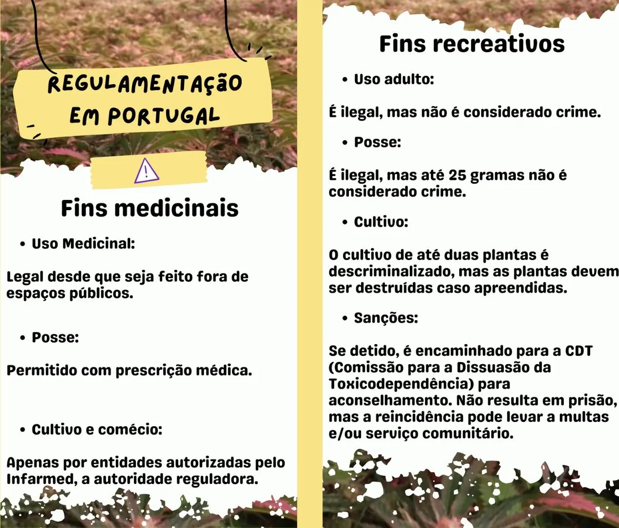 Regulação Portugal.jpg