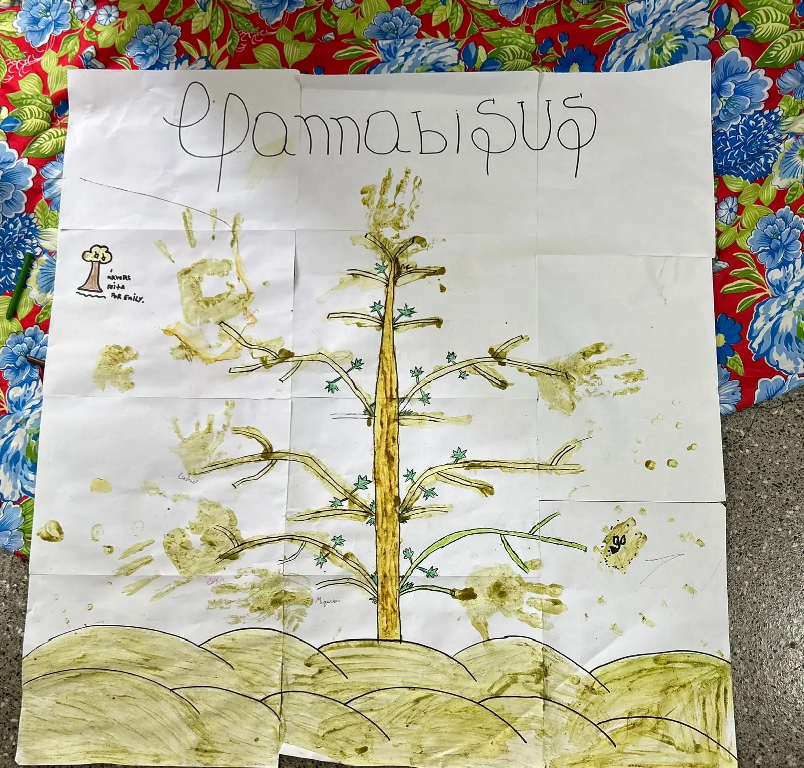 cannabis no sus salvador .jpg