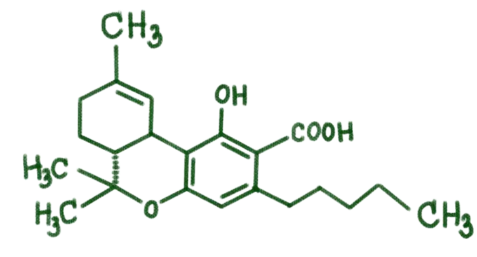thca-vs-thc-removebg-preview.png